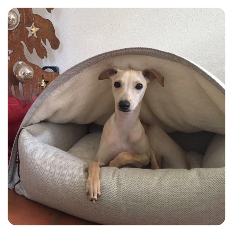 The Best Dog Bed for Greyhounds, Whippets & Sighthounds — Why KONA CAVE®'s Patented 3-in-1 Design Matters