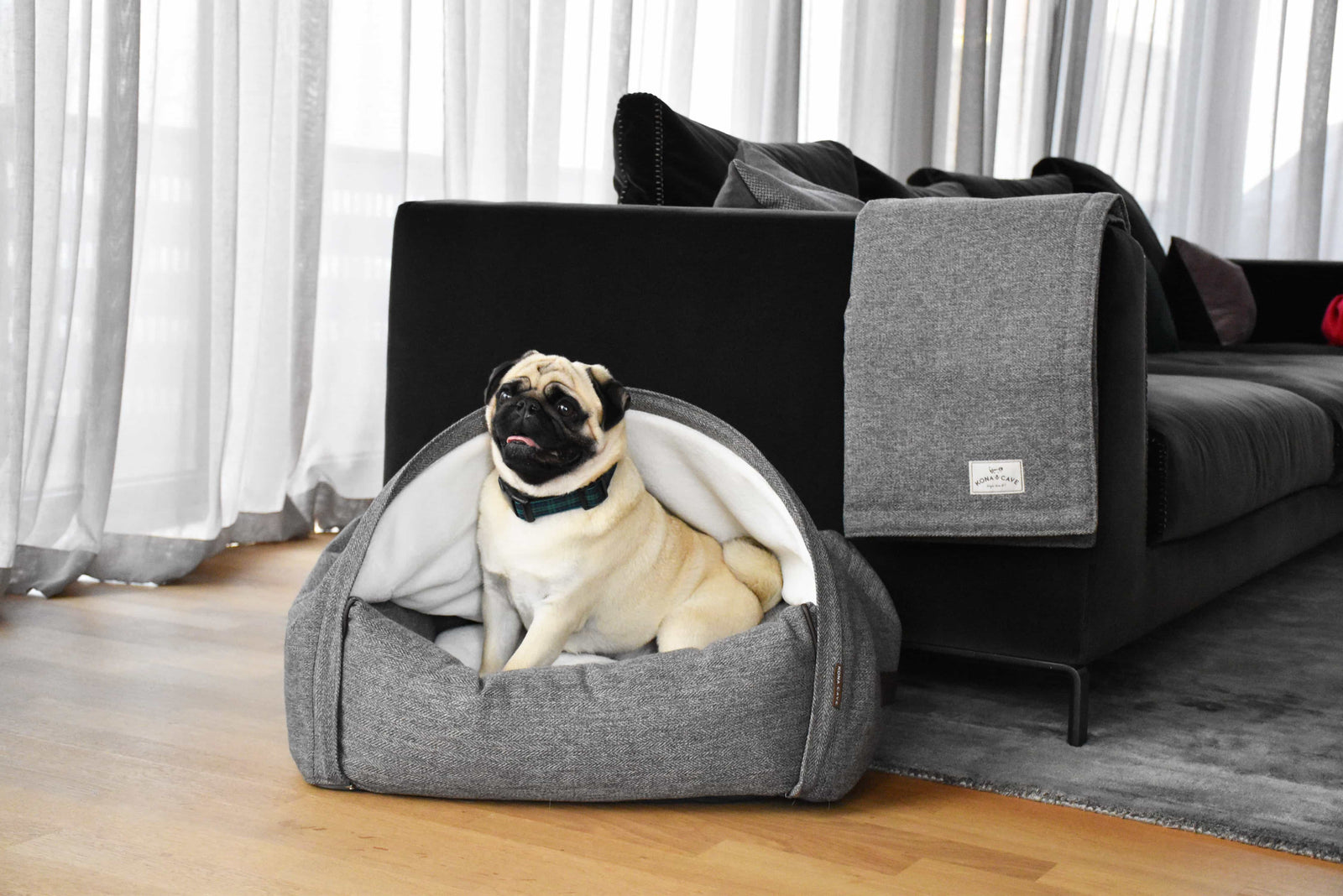 Adorable Pug in a luxury KONA CAVE® snuggle cave dog bed in grey in a luxury Hong Kong apartment with big windows
