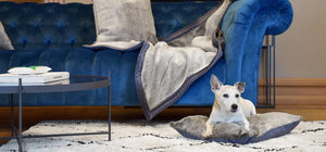 KONA CAVE® luxury faux fur dog bed and dog home accessories. Faux Fur and velvet cushion dog bed, blanket and pillows. Blue velvet sofa. 