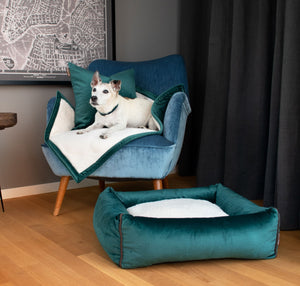 KONA CAVE® luxury Doggy Decor velvet set includes 2 decorative Pillow covers, matching lined velvet blanket. Shown with senior jack russell terrier