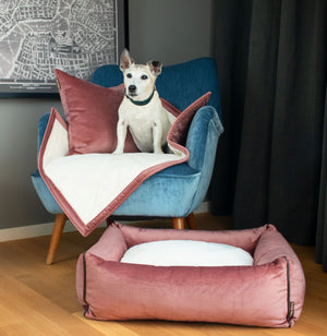 Senior Jack Russell Terrier on KONA CAVE brand Luxury Pink Velvet Blanket and Pillow with matching pink velvet dog bed.  Doggy Decor set.