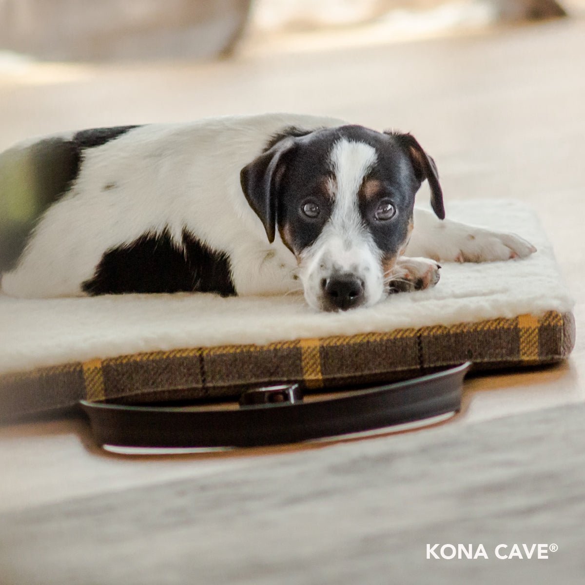 Travel Dog Bed by KONA CAVE® with an adorable tri-color JRT puppy. Plaid, luxury portable dog mat lined in fleece with shoulder straps. 