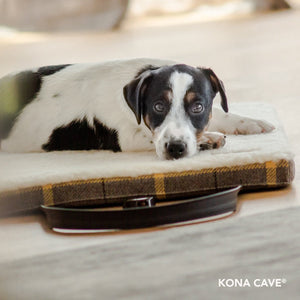 Travel Dog Bed by KONA CAVE® with an adorable tri-color JRT puppy. Plaid, luxury portable dog mat lined in fleece with shoulder straps. 